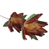 Gałązka Magnolia Pianka H 90 cm 2 Kwiaty