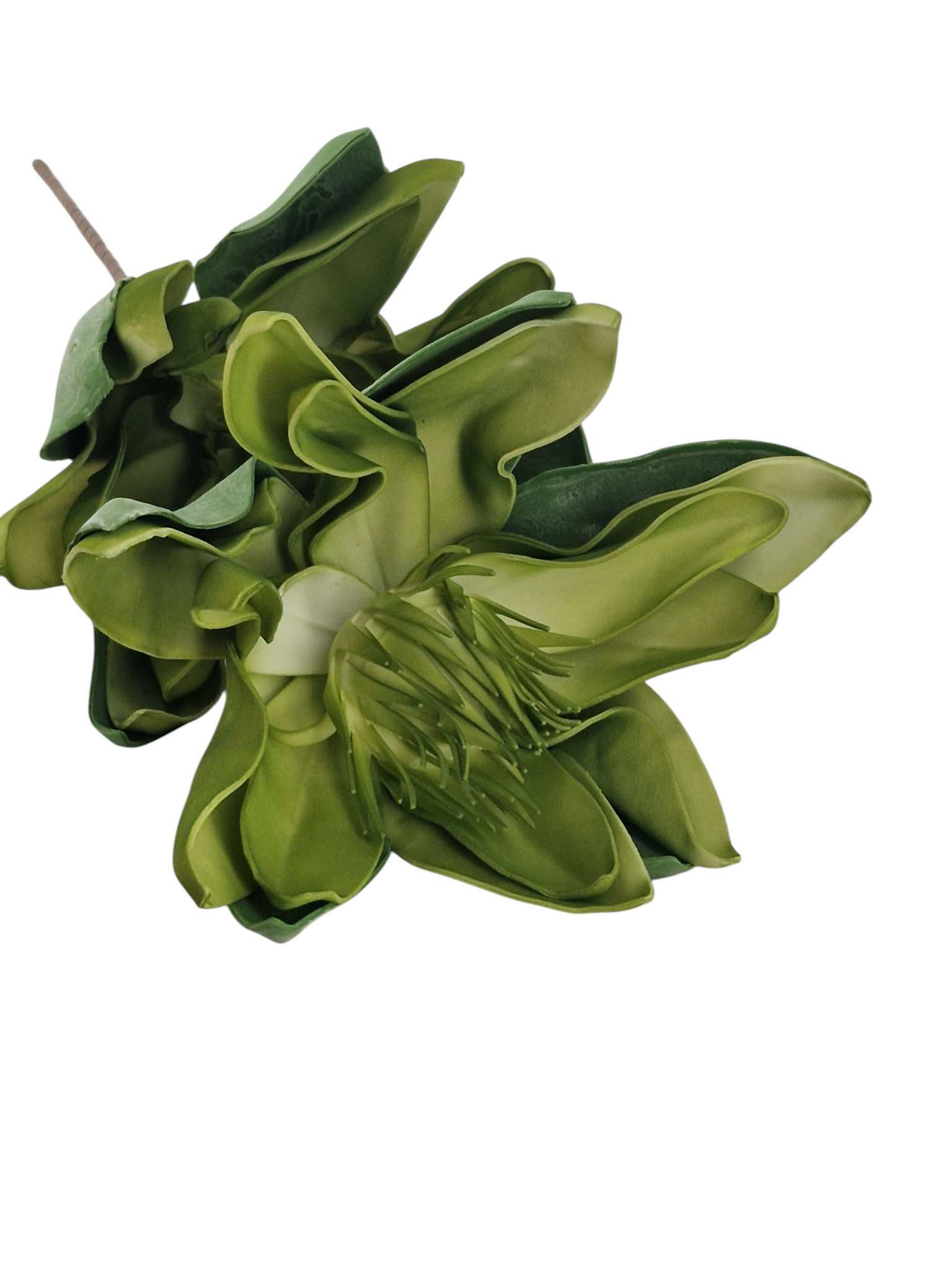 Gałązka Magnolia Pianka H 90 cm 2 Kwiaty - obrazek 2