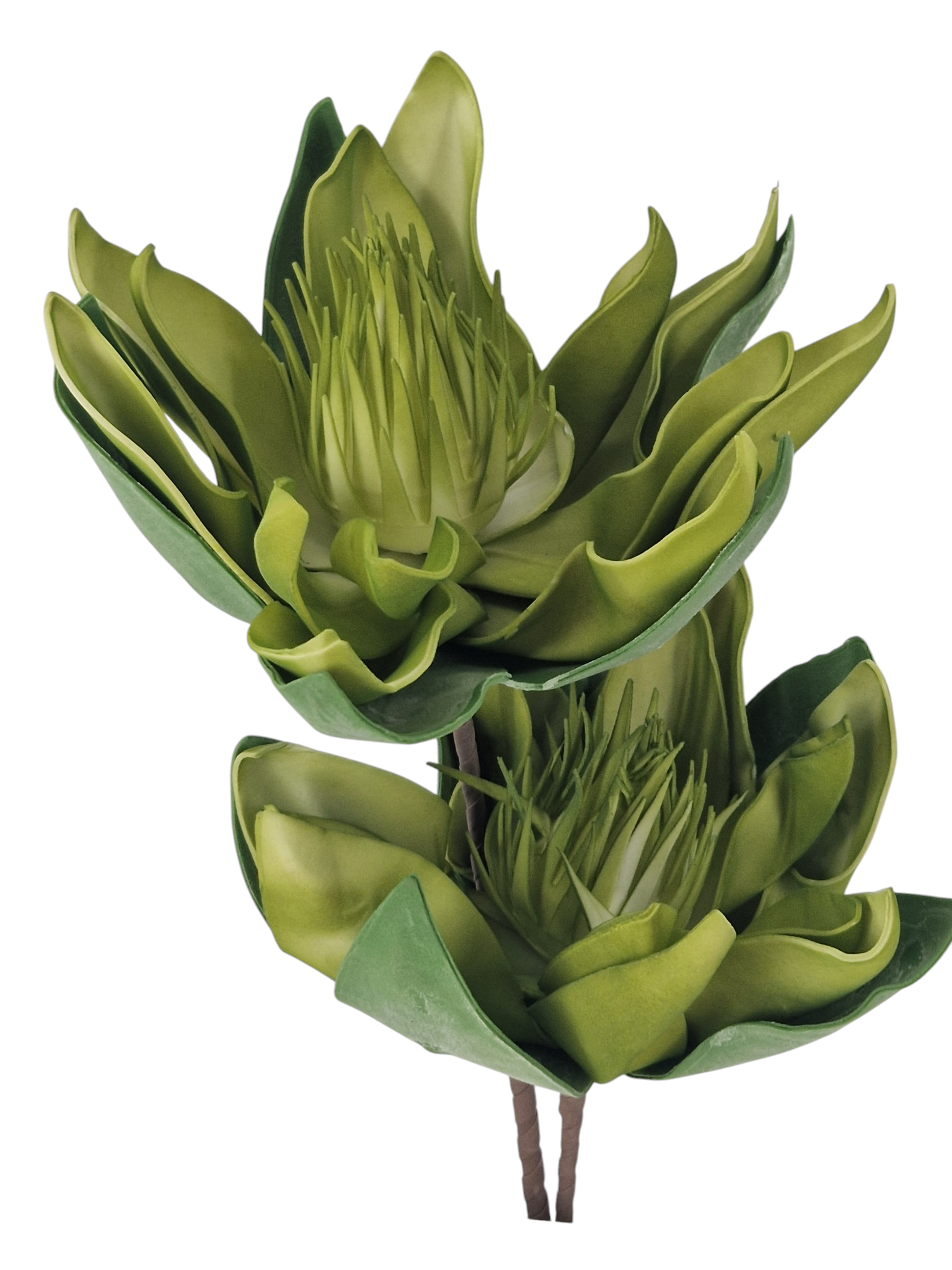 Gałązka Magnolia Pianka H 90 cm 2 Kwiaty - obrazek 3
