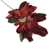 Gałązka Magnolia Pianka H 90 cm 2 Kwiaty