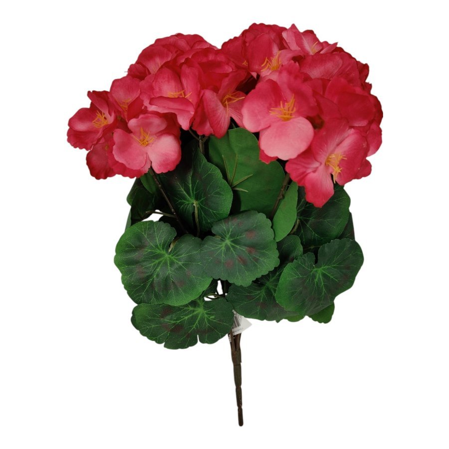 Bukiet Pelargonia H 38 cm