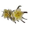 Gałązka Magnolia 5 Kwiatów H 106 cm Kwiat Q 20 cm Pianka