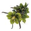 Gałązka Magnolia 5 Kwiatów H 106 cm Kwiat Q 20 cm Pianka