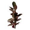 Gałązka Magnolia H 100 cm Pianka
