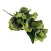 Gałązka Magnolia Pianka H 110 cm 3 Kwiaty + 2 pąki