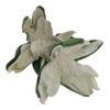 Gałązka Magnolia Pianka H 90 cm 2 Kwiaty
