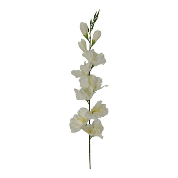 Gałązka Mieczyk H 80 cm 12 szt.