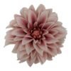 Główka Wyrobowa Dalia Q 20 cm