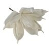 Główka Wyrobowa Magnolii na piku H 32 cm Główka ok 30 cm Pianka