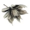 Główka Wyrobowa Magnolii na piku H 32 cm Główka ok 30 cm Pianka