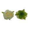 Główka Wyrobowa Peonia Q 9 cm