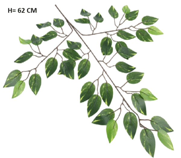 Liść Fikusa Benjamina H 62 cm