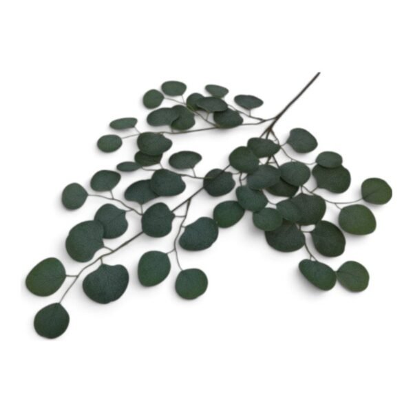 Liść Eukaliptusa H 70 cm