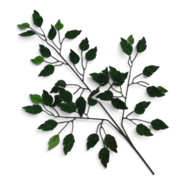Liść Fikusa Benjamina H 61 cm