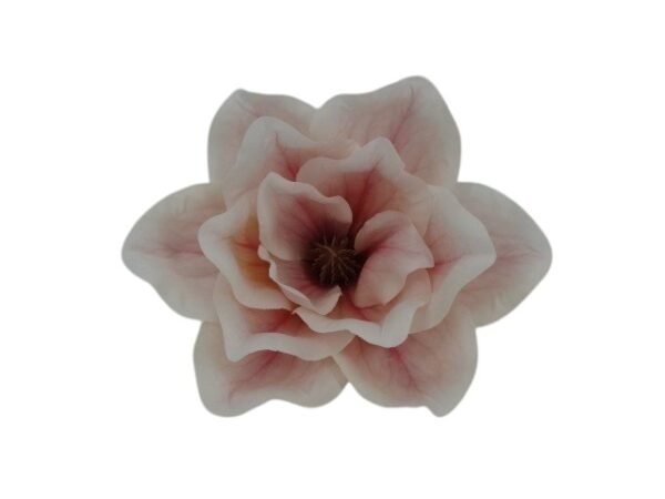 Główka Wyrobowa pak. po 6 szt. Magnolia Q 15 cm