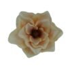 Główka Wyrobowa pak. po 6 szt. Magnolia Q 15 cm
