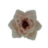 Główka Wyrobowa pak. po 6 szt. Magnolia Q 15 cm